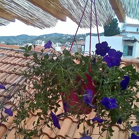Traditional * Città di Skopelos